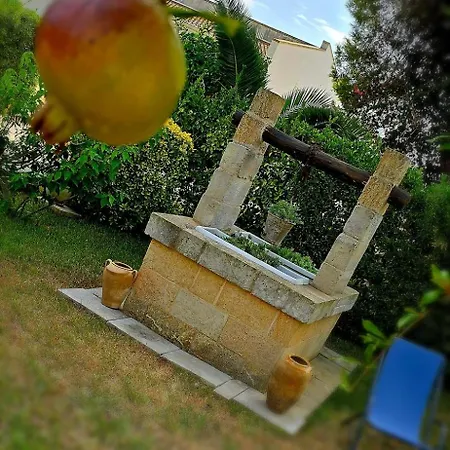 B&B Piccolo Vigneto-2
